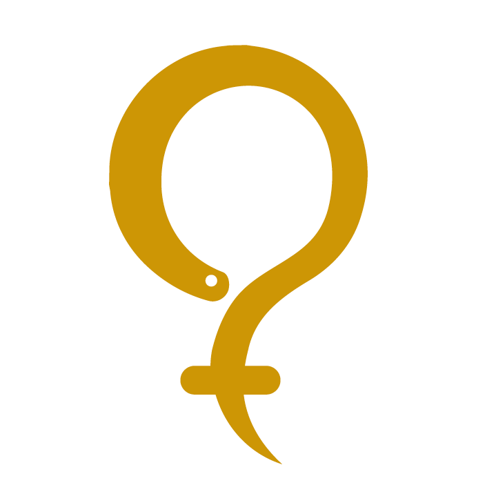 FFGZ Logo 06 neg